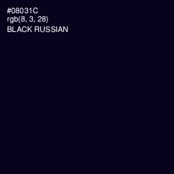 #08031C - Black Russian Color Image